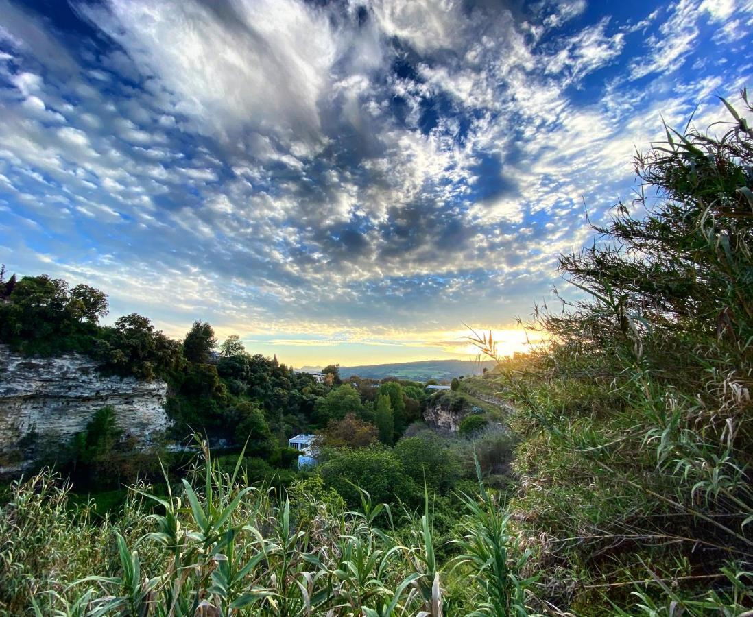 Villa Ignacia B&B - Naturaleza Entre Ronda Y Setenil Arriate Eksteriør billede