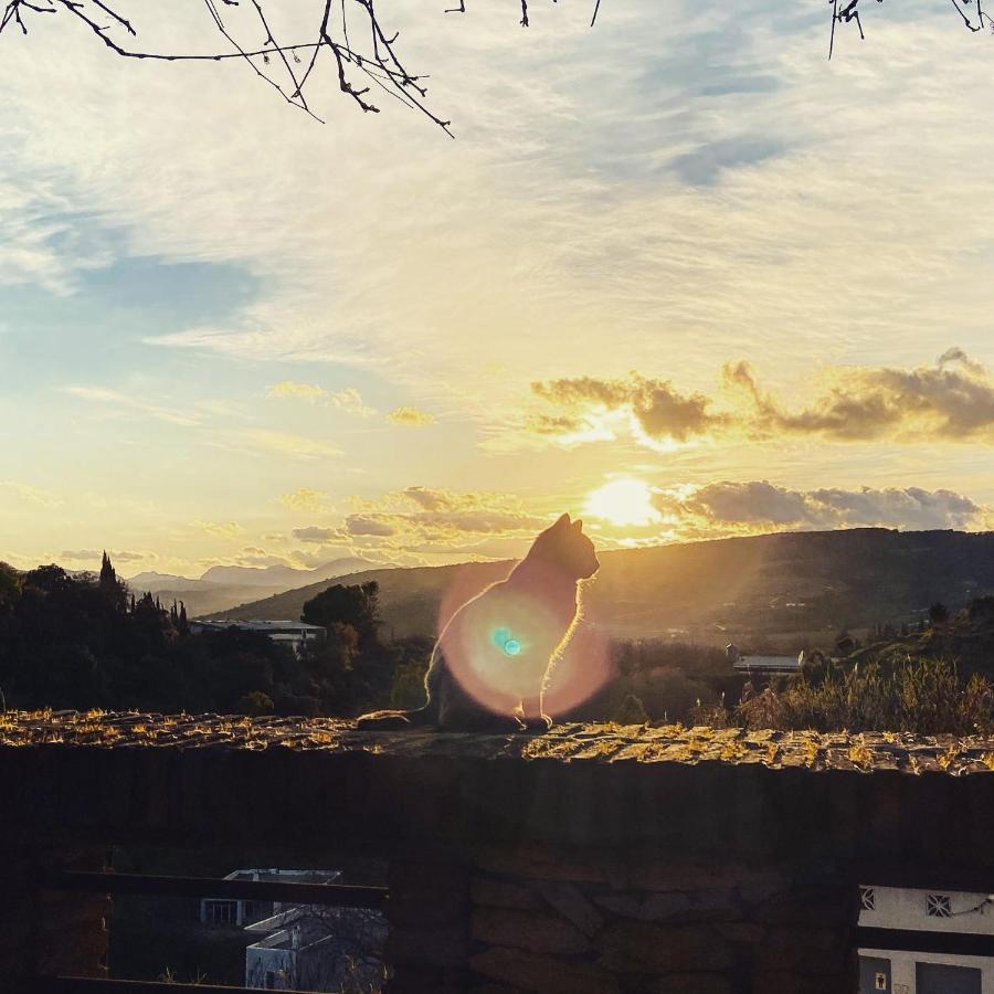 Villa Ignacia B&B - Naturaleza Entre Ronda Y Setenil Arriate Eksteriør billede