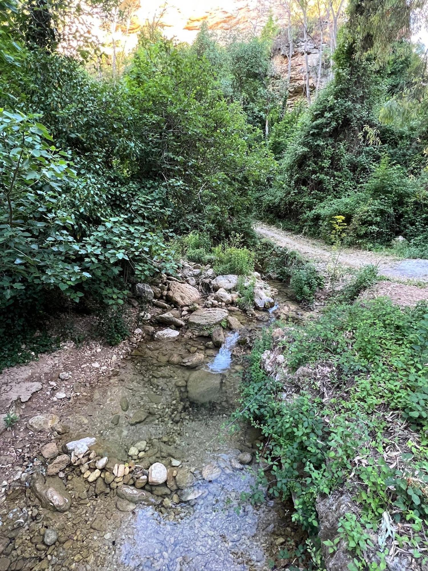 Villa Ignacia B&B - Naturaleza Entre Ronda Y Setenil Arriate Eksteriør billede